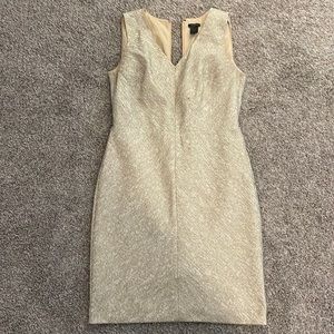 Ann Taylor Dress (size 6)